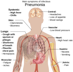 485px-Symptoms_of_pneumonia.svg