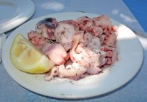 7869-a-plate-of-octopus-salad-pv